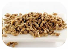 anise