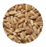 dinkel
