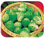 kelj papučar