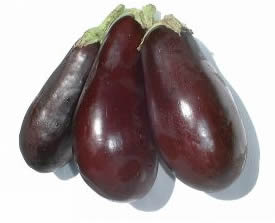 eggplants