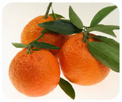 mandarine